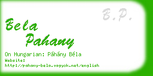 bela pahany business card
