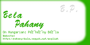 bela pahany business card